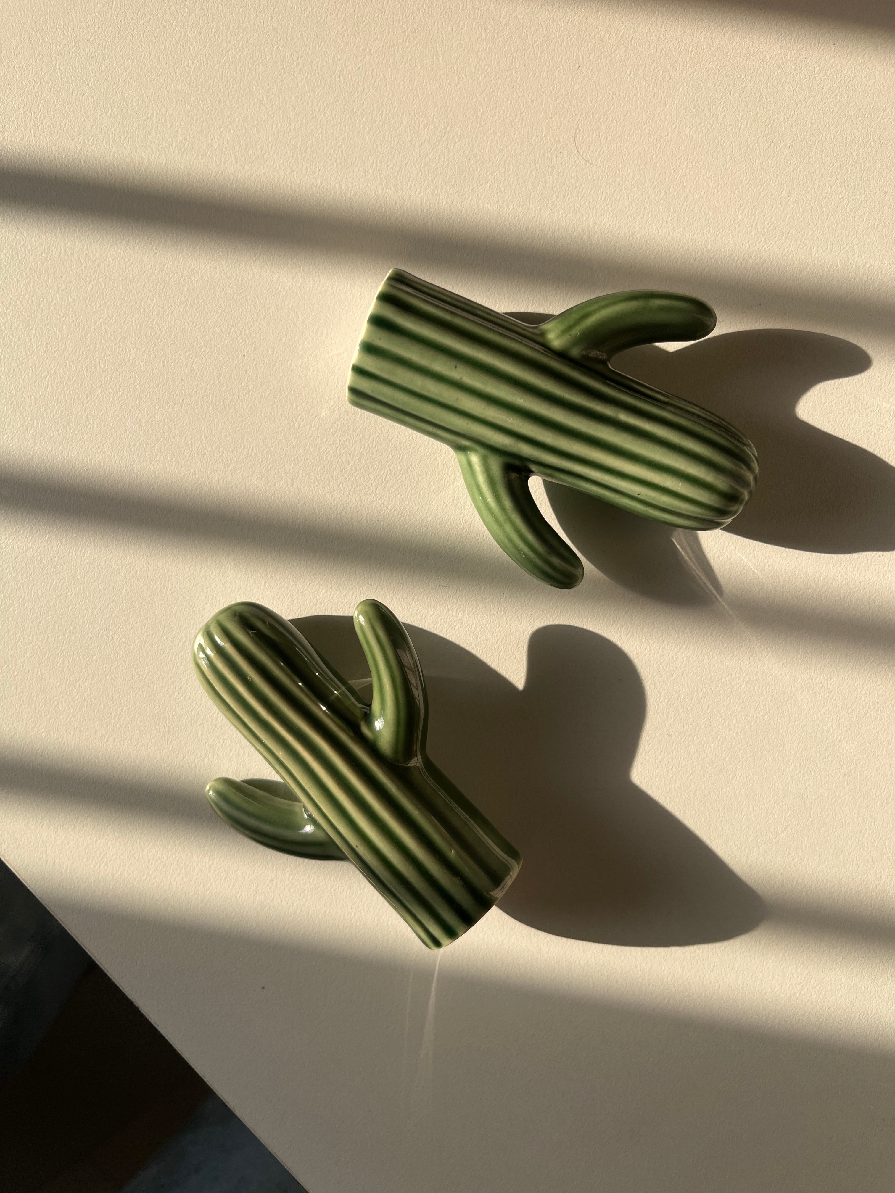 Salt and pepper shakers, cactus shakers, tableware trinket, dopamine decor, quirky shakers