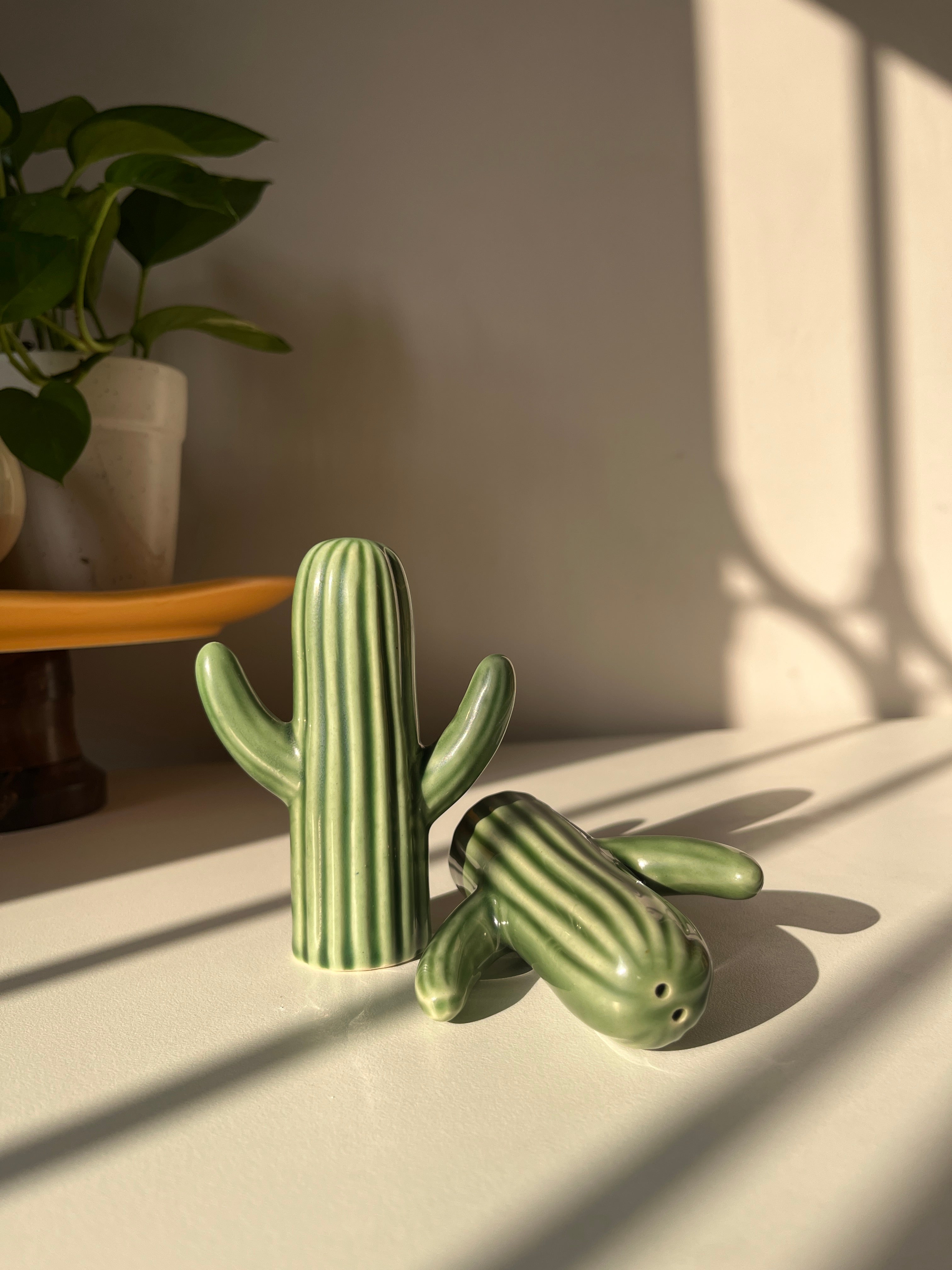 Salt and pepper shakers, cactus shakers, tableware trinket, dopamine decor, quirky shakers