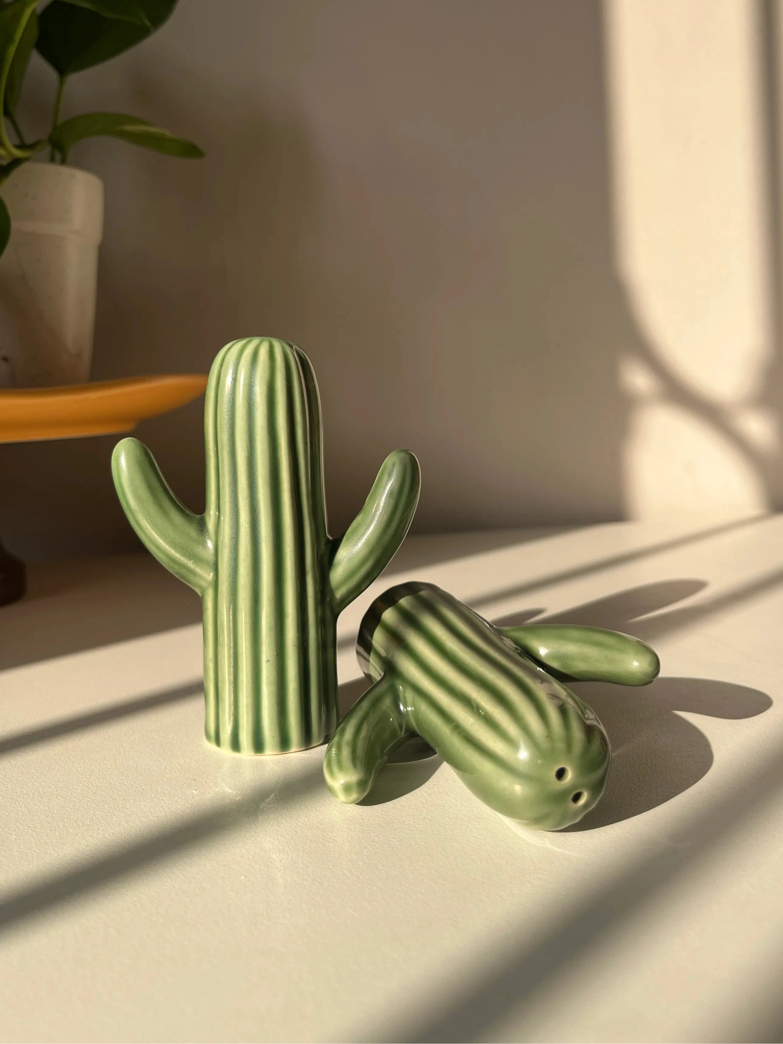 Cactini Salt & Pepper Shakers - Single Pair