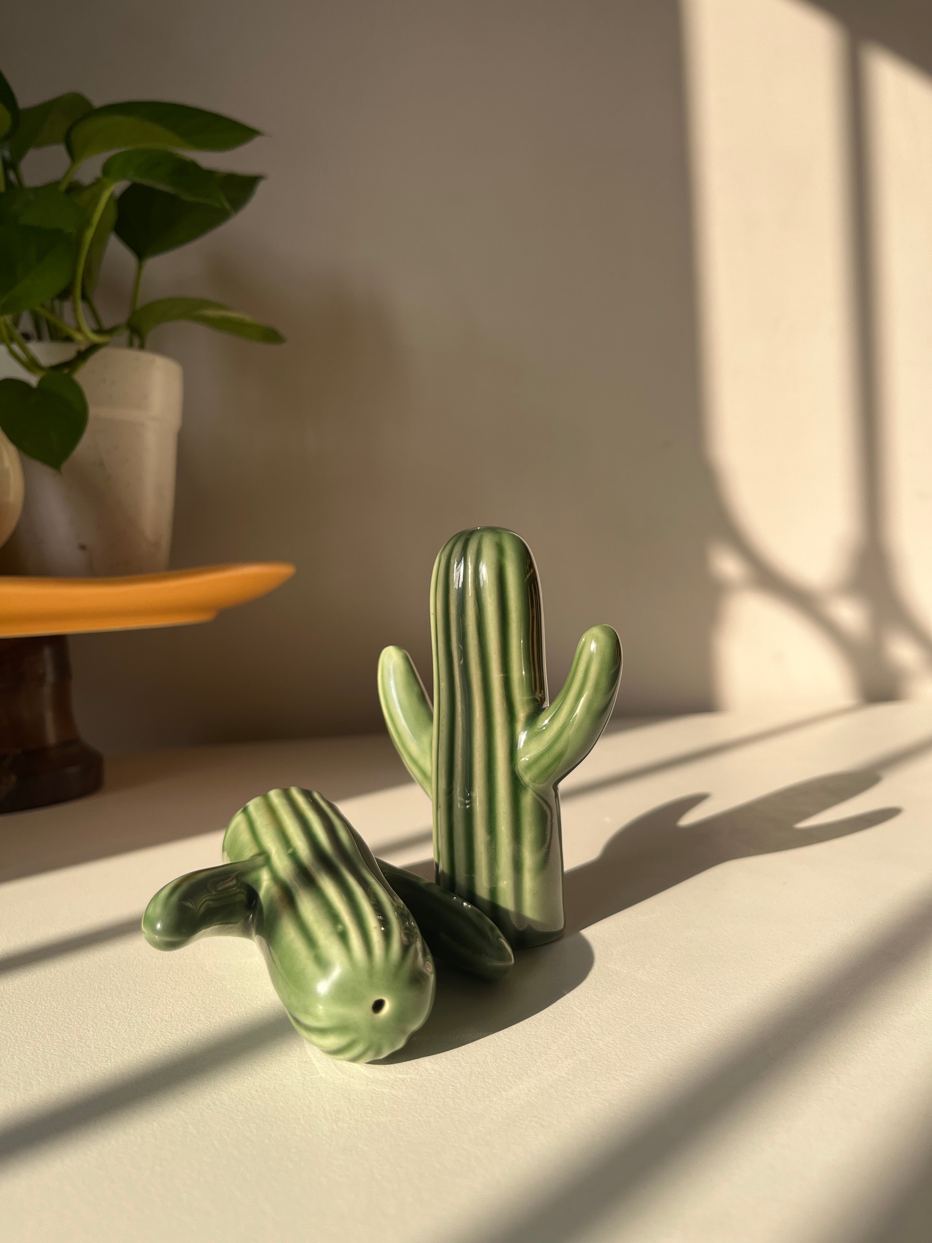 Salt and pepper shakers, cactus shakers, tableware trinket, dopamine decor, quirky shakers