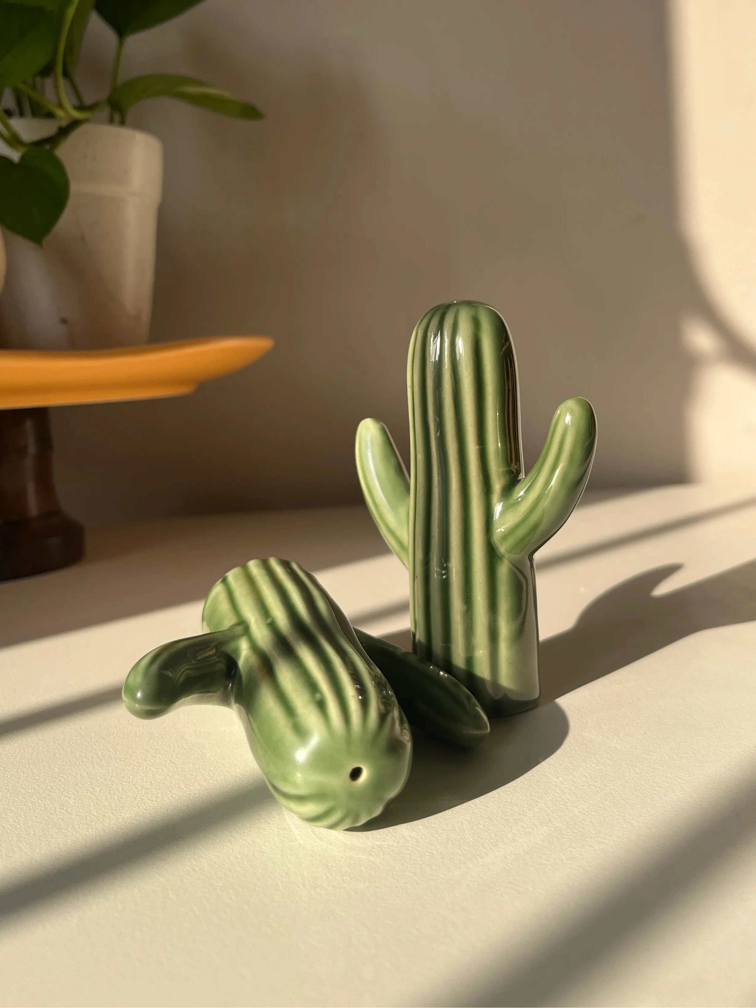 Cactini Salt & Pepper Shakers - Single Pair