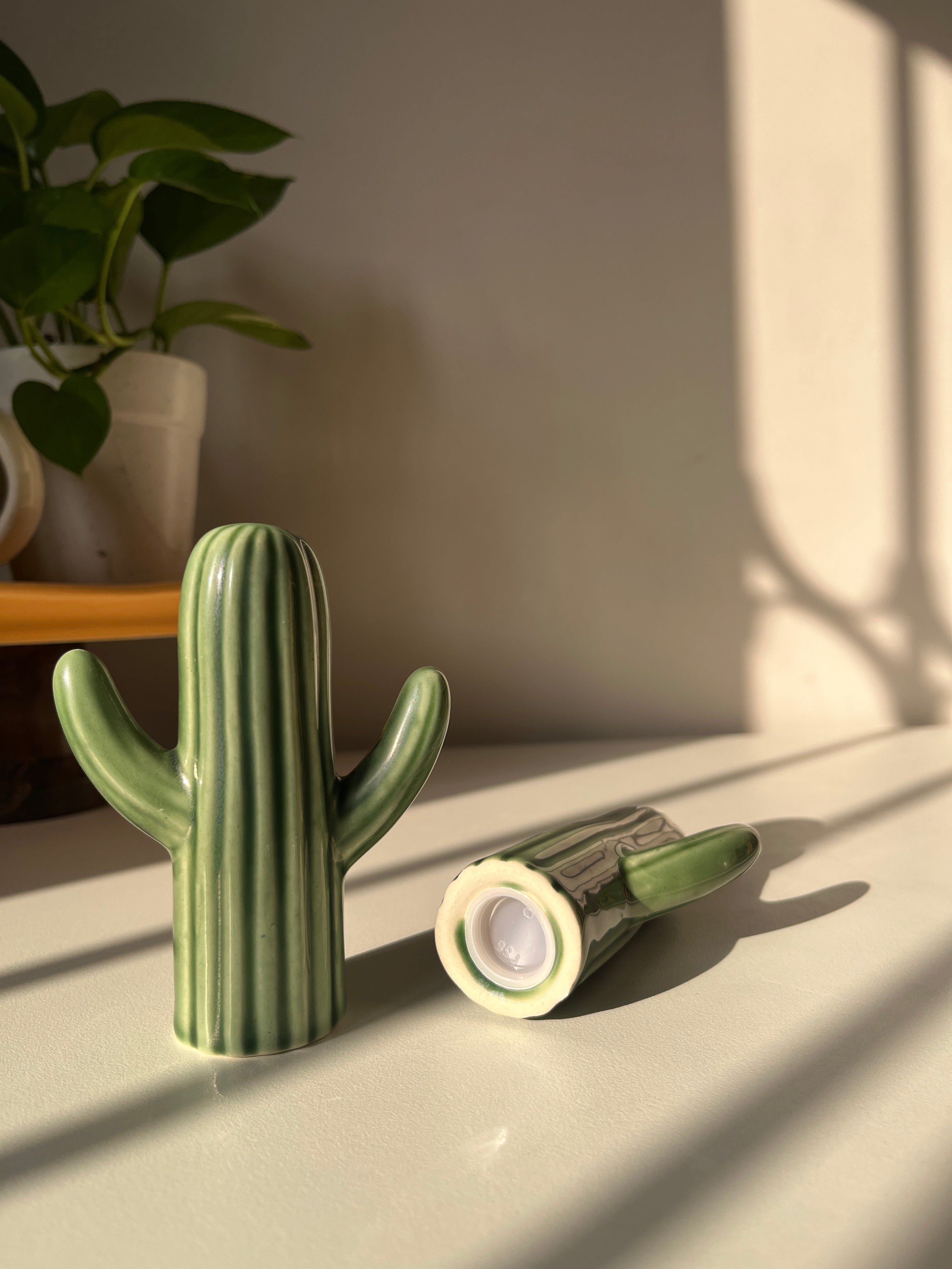 Salt and pepper shakers, cactus shakers, tableware trinket, dopamine decor, quirky shakers