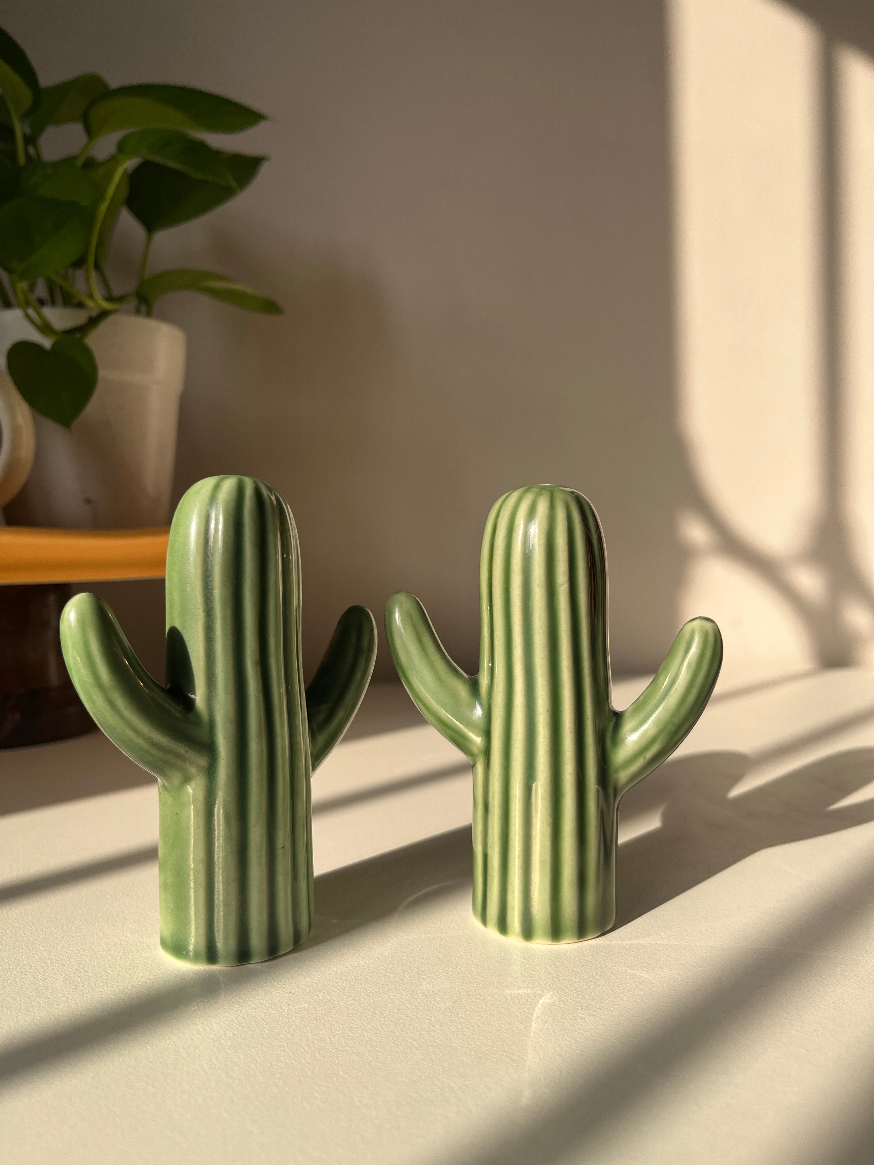 Salt and pepper shakers, cactus shakers, tableware trinket, dopamine decor, quirky shakers