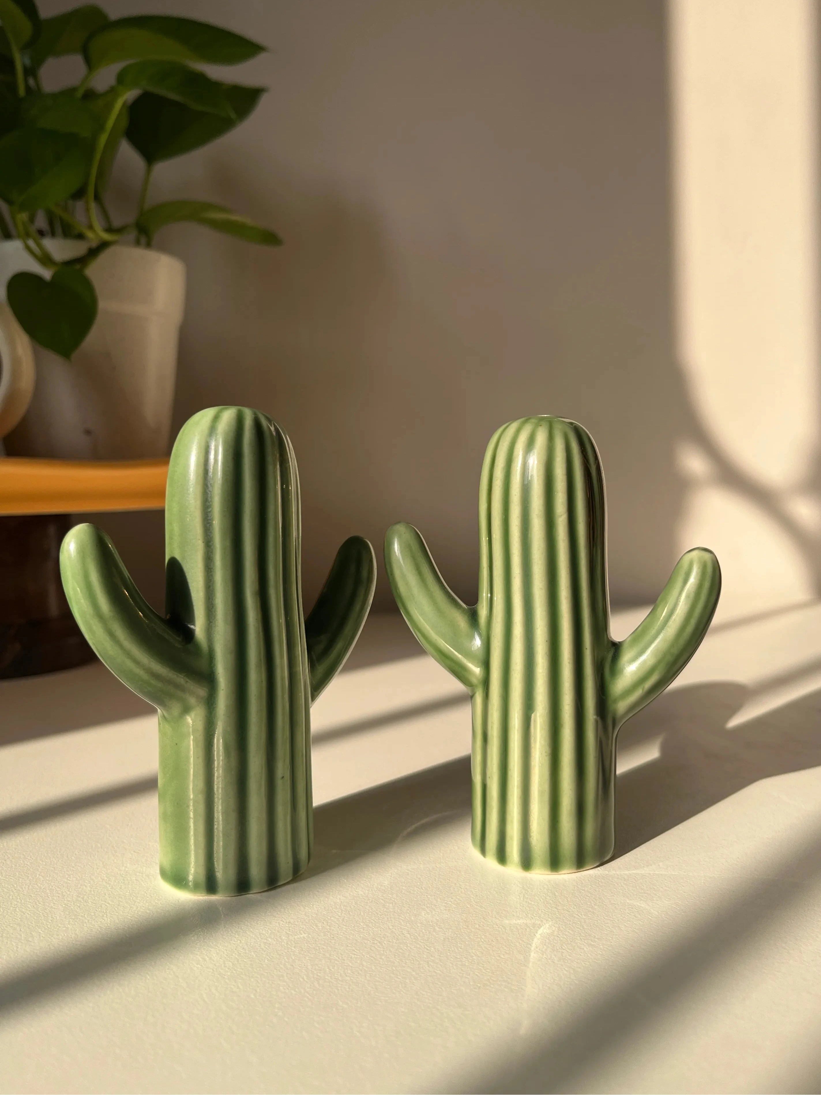 Cactini Salt & Pepper Shakers - Single Pair